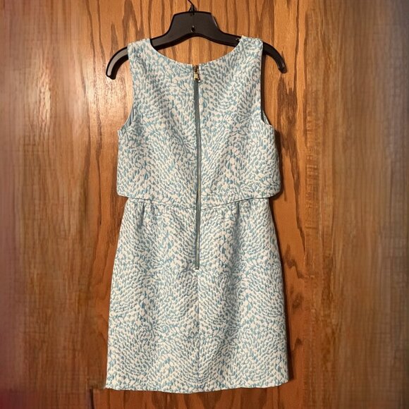 The Limited Dress - Picture 4 of 4